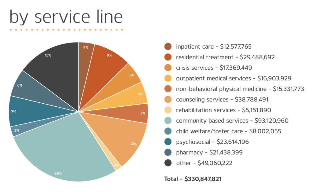 Revenue Pie Graph by Service Line