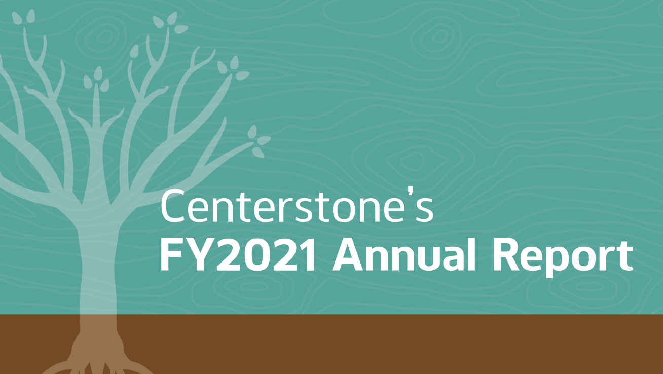FY2021 annual report cover photo illustration of a tree