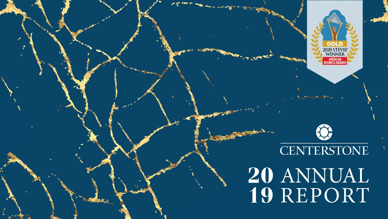 FY2019 annual report cover photo featuring gold cracks on blue background