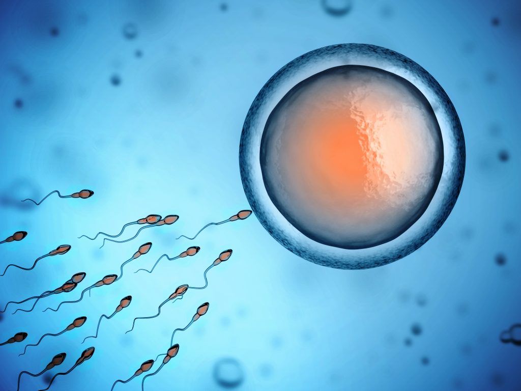 how does pregnancy occur