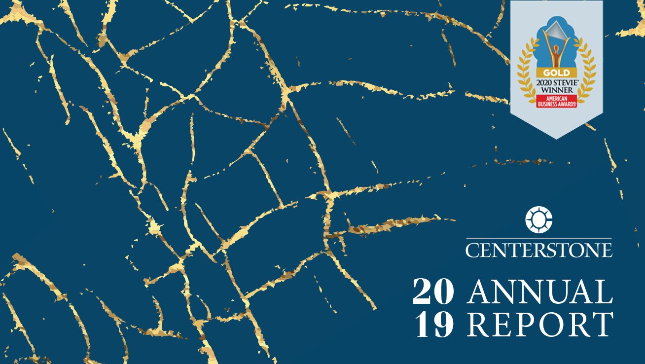FY19 Annual Report Cover featuring gold cracks on blue background